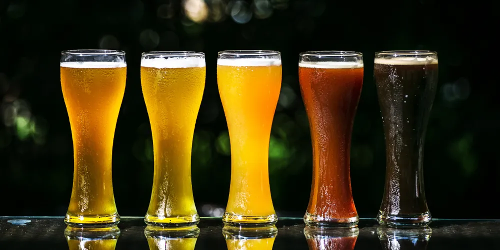 are beers carbonated article featured image